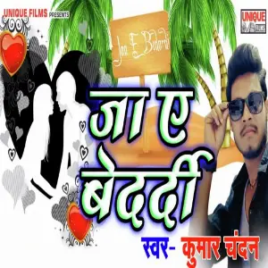 Jaa E Bedardi image