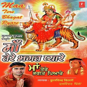 Maa Tere Bhagat Pyare image