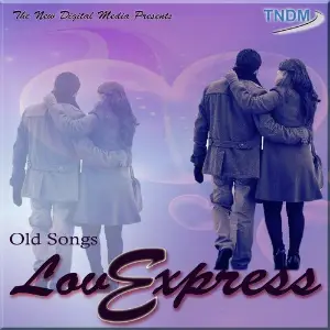 Love Express Various Artists