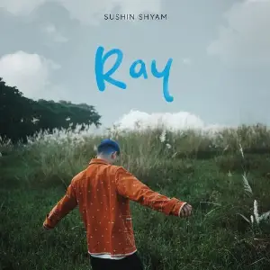 Ray image
