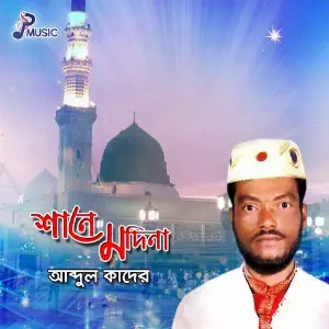 Shane Madina image