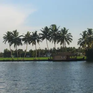 Rainy Aftrnoon image