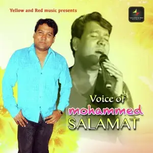 Voice Of Mohammad Salamat image