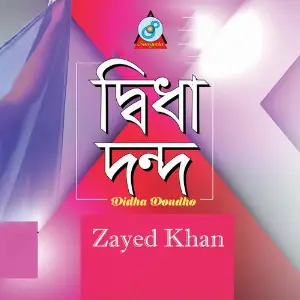 Didha Dondho image