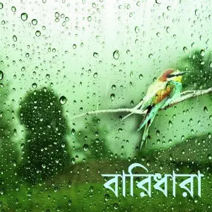 Baridhara image