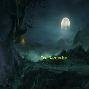 Teri nazrun ne image