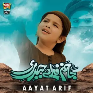 Jaanam Fida E Haideri image