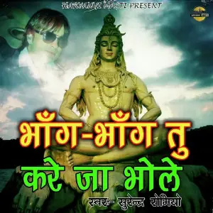 Bhang Bhang Tu Kare Ja Bhole image