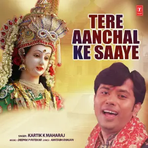 Tere Aanchal Ke Saaye image