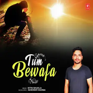 Tum Bewafa image