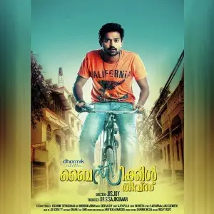 Bicycle Thieves image