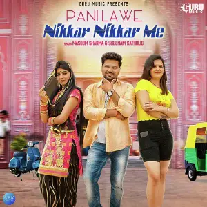 Pani Lawe Nikkar Nikkar Me - Single image