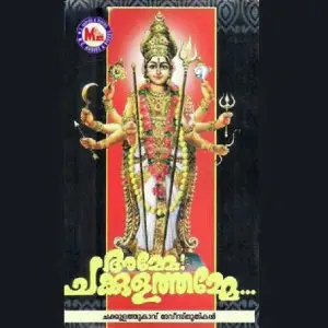 Amme Chakkulathamme image