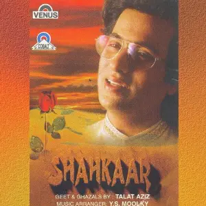 Shahkaar image