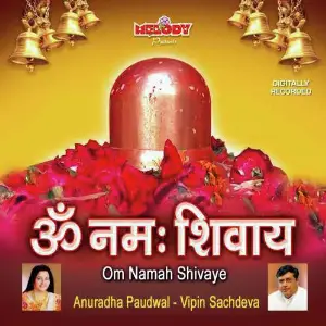 Om Namah Shivaye image
