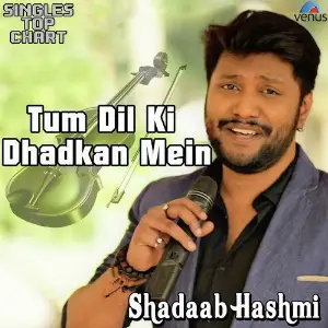 Top 20 Hits With Heart Beats Shadaab Hashmi