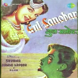 Gul Sanowar image