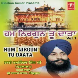 Hum Nirgun Tu Daata (Vol. 1) image