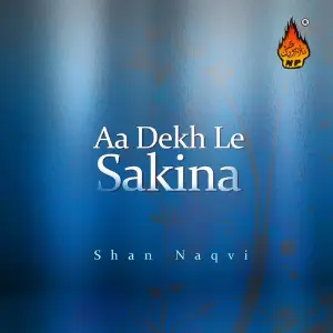 Aa Dekh Le Sakina image
