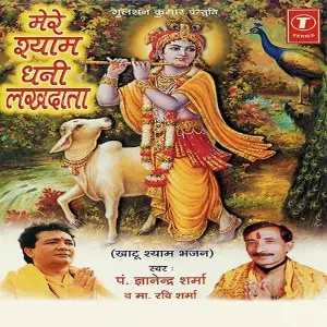 Mere Shyam Dhani Lakhdata image