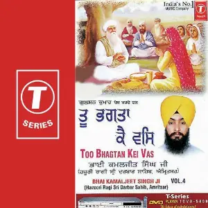 Too Bhagtan Kei Vas (Vol. 4) image