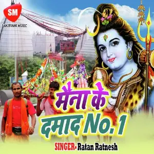 Maina Ke Damad No1 image