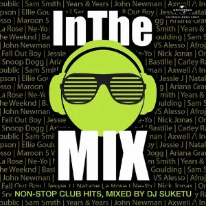 In The Mix (, Mixed By DJ Suketu) image