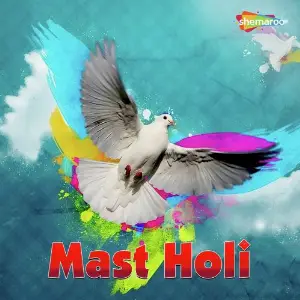 Mast Holi image