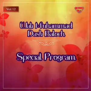 Special Program, Vol. 12 image