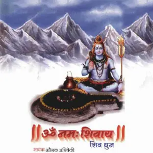 Om Namah Shivay image