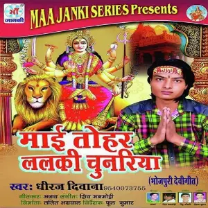 Mai Tohar Lalki Chunariya image