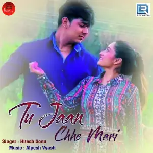 Tu Jaan Chhe Mari image