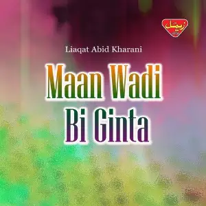 Maan Wadi Bi Ginta image