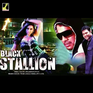 Black Stallion image