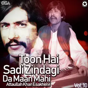 Toon Hai Sadi Zindagi Da Maan Mahi, Vol. 10 image