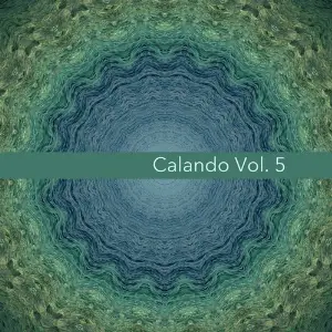 Calando - Musica Elettronica, Vol. 5 image