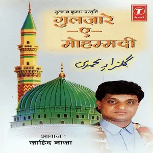 Gulzare-E-Mohammadi image