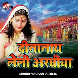 Dinanath Leli Araghiya image
