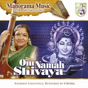 Om Namah Shivaya image