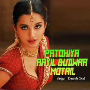 Patohiya Aayil Budwaa Motail image