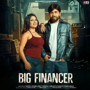 Big Financer image