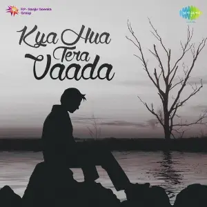 Kya Hua Tera Vaada image