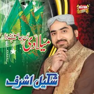 Miladi Ban Ja image