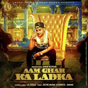 Aam Ghar Ka Ladka image