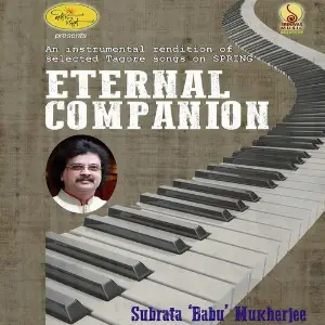 Eternal Companion image