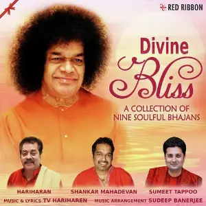 Divine Bliss image