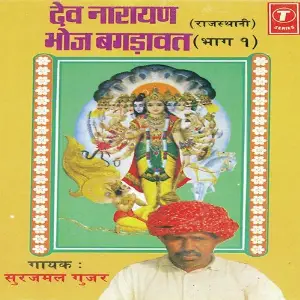 Dev Narayan Bhoj Bagdawat (Part 1) image