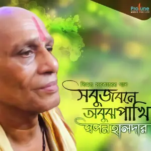 Sabuj Bone Abuj Pakhi image