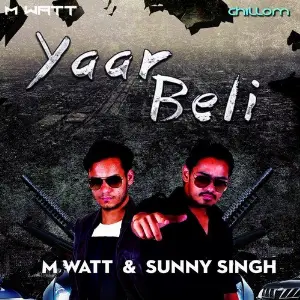 Yaar Beli image