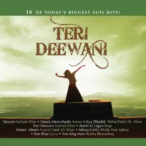 Teri Deewani image